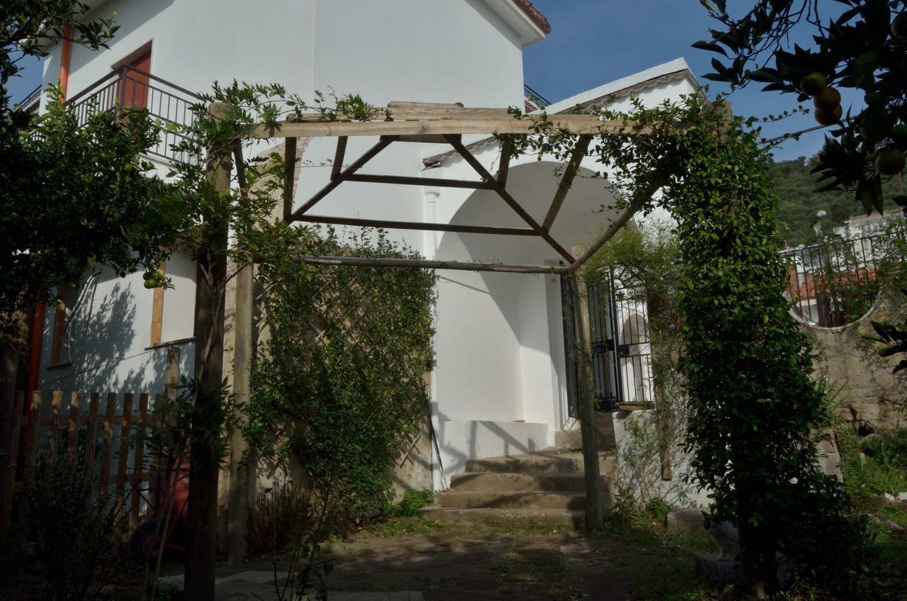 Il Giardino Del Sole Bed & Breakfast Roccarainola Eksteriør bilde