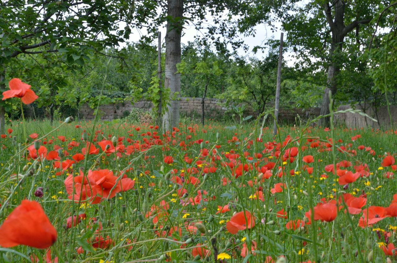 Il Giardino Del Sole Bed & Breakfast Roccarainola Eksteriør bilde
