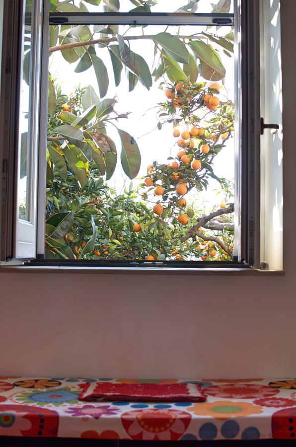 Il Giardino Del Sole Bed & Breakfast Roccarainola Eksteriør bilde